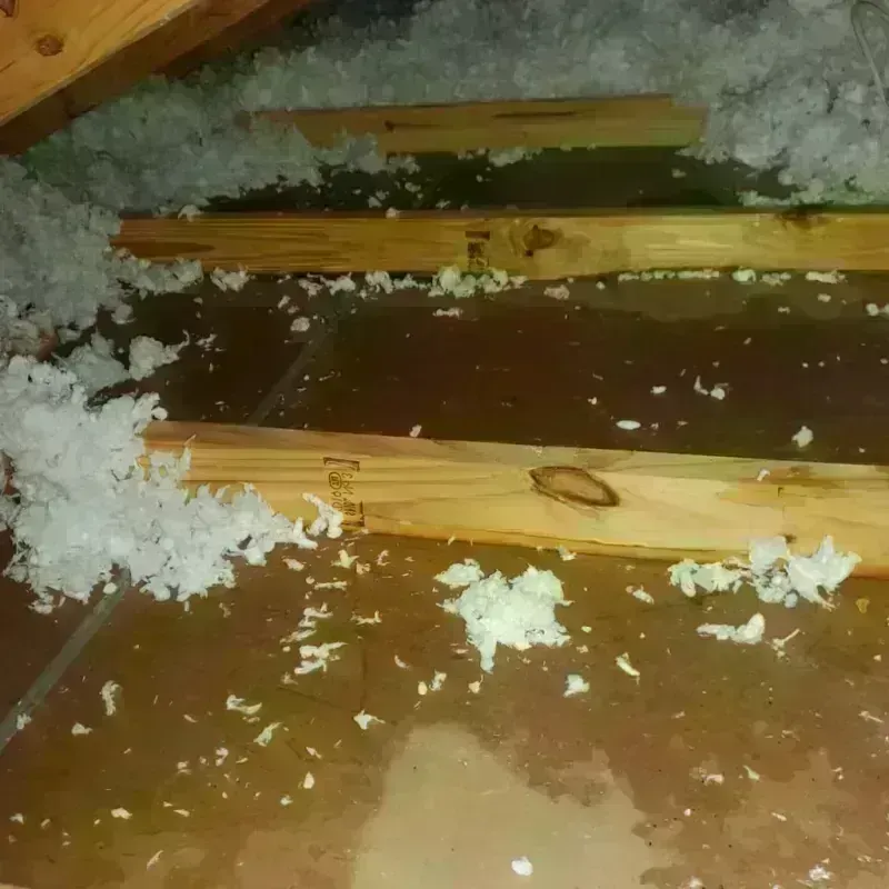 Attic Water Damage in Bardstown, KY